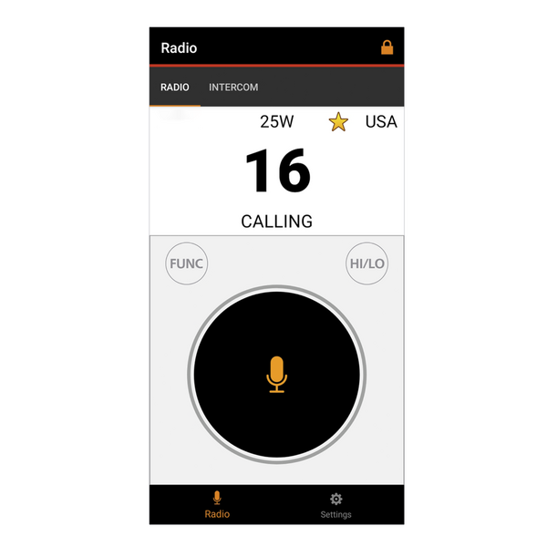 Vorschau ICOM RS-M500 Fernsteuersoftware